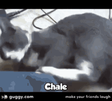 Chale GIF - Chale GIFs