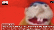 the texas butthole tickling bandit has been found and the texas butthole tickling bandit aka rooter40 has been found .