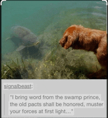 Dessi Dessi Allison GIF - Dessi Dessi Allison I Bring Word From The Swamp Prince GIFs