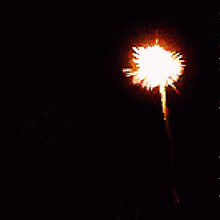 palupok fireworks setting off