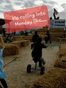 Monday Tricycle GIF - Monday Tricycle Crash GIFs