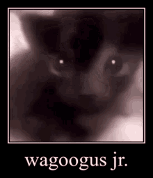 Animals With Captions Wagoogus GIF - Animals With Captions Wagoogus Wagoogus Jr GIFs