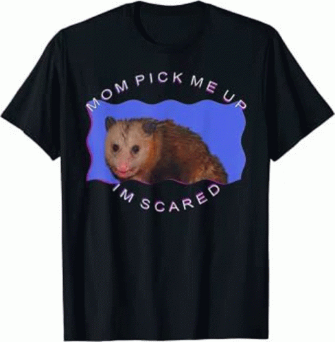 Possum GIF - Possum - Discover & Share GIFs