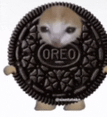 an oreo cookie with a cat inside of it .