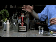 How To Make A Margarita GIF - Bartender Cocktail Cognac GIFs