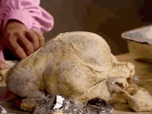 turkey bird dry christmas thanksgiving