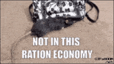 a picture of a rat next to a purse that says not in this ration economy ..