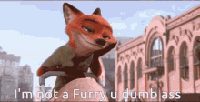 Furry Not Furry GIF - Furry Not Furry Dumb Ass GIFs