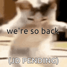 a cat with the words we 're so back ( jd pending ) on it