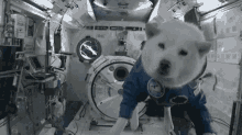 Dog Float GIF - Dog Float Astronaut GIFs