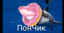 Sharkponchik30082009 GIF - Sharkponchik30082009 GIFs
