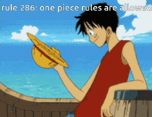 Rule Luffy GIF - Rule Luffy 286 GIFs