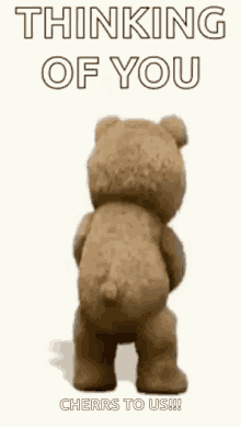 Ted Thinking Of You GIF - Ted Thinking Of You Cherrs To Us GIFs