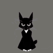 Oxjunk Cat GIF - Oxjunk Cat GIFs