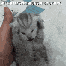 My Brain Has Claimed Its Glory Over Me GIF - My Brain Has Claimed Its Glory Over Me Brain Has Claimed My Brain GIFs
