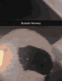 Fornite Monkey GIF - Fornite Monkey GIFs