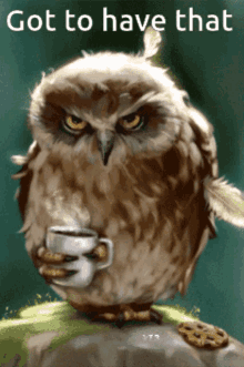 got to have that coffee owl nocturnal coffee owl