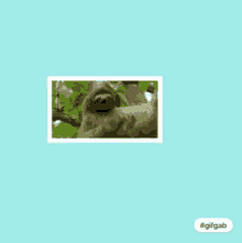 Attitude Sloth GIF - Attitude Sloth GIFs