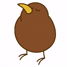 cute funny keewee brown bird