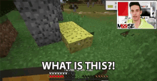 what is this sponge sponge block confused minecraft