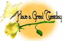 have a great tuesday tuesday rose yellow rose friends