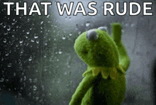 kermit the frog is sitting in front of a window with rain drops on it and the words `` that was rude '' .
