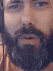 Cid Cidoso Beard GIF - Cid Cidoso Beard Talk GIFs