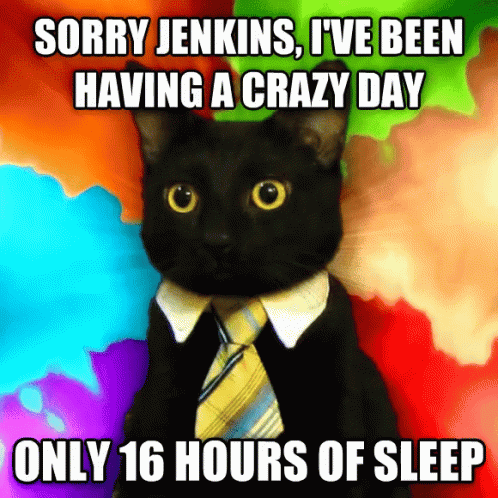 Business Cat Meme GIF - Business Cat Meme Business Kitty GIFs