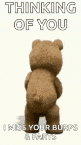 Ted Drink GIF - Ted Drink Booze GIFs