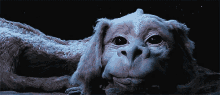Wink GIF - Never Ending Story Wink Dragon GIFs