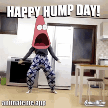 Humpday Happy Hump Day GIF - Humpday Happy Hump Day Wednesday GIFs