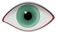 a close up of a green eye with a red outline