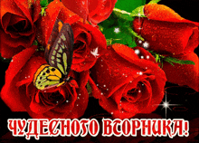 a bouquet of red roses with a butterfly and the words " чудесного вторника "