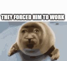 They Forced Him To Work Crying Seal GIF - They Forced Him To Work Crying Seal GIFs