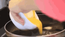Cook Cooking GIF - Cook Cooking Pouring Into The Pan GIFs