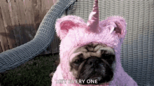 Pug Unicorn Dog GIF - Pug Unicorn Dog Costume GIFs