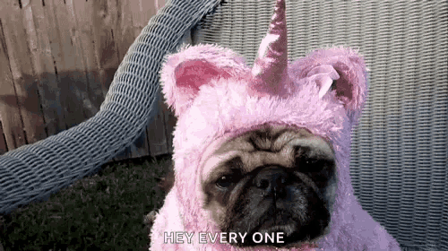 Pug in unicorn store outfit