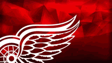 red wings goal wings goal detroit red wings red wings