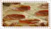 a close up of a pepperoni pizza with a white border .