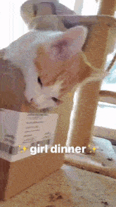 Girl Dinner GIF