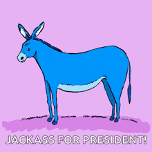 Democrat Donkey GIF - Democrat Donkey Democratic Party GIFs