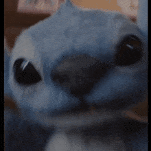 a close up of a stuffed animal 's face with a blurred background