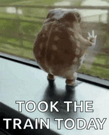 a hamster is standing on a window sill with the words `` took the train today '' written on it .
