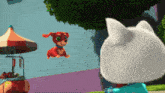 a red dog is flying over a white cat 's head