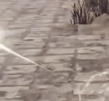 a person is holding a sword in a video game while standing on a brick pavement .