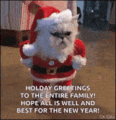 Santa Holiday GIF - Santa Holiday Kitten GIFs
