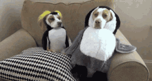 Dogs Penguins GIF - Dogs Penguins Costume GIFs