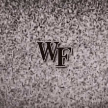 Wake Forest Wake Football GIF