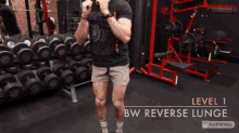 Bodyweight Reverse Lunges GIF - Bodyweight Reverse Lunges GIFs