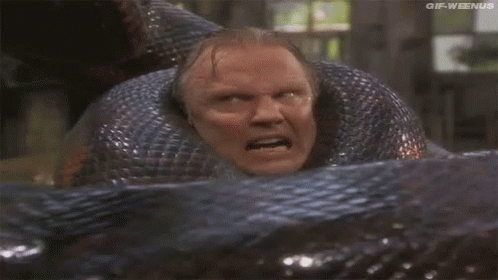 anaconda snake gif